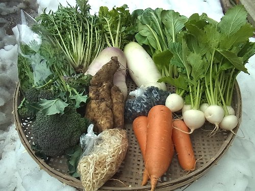 旬の有機野菜セット定期便　2014年2月10日