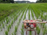 山名川向の今季から作ることになった田んぼ