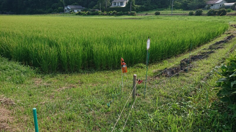 電柵張り