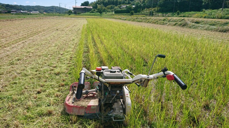 ウイングモアでひこばえ粉砕