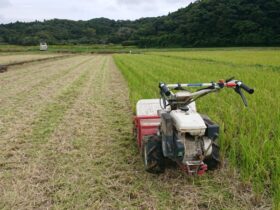 浅く耕すために、ひこばえ処理 耕す前に田面の稲株を 細かく粉砕