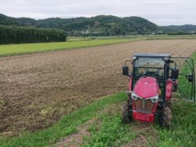 山名大坪の田んぼ2反