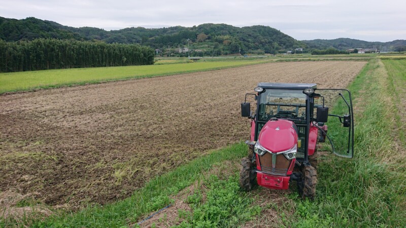 山名大坪の田んぼ2反