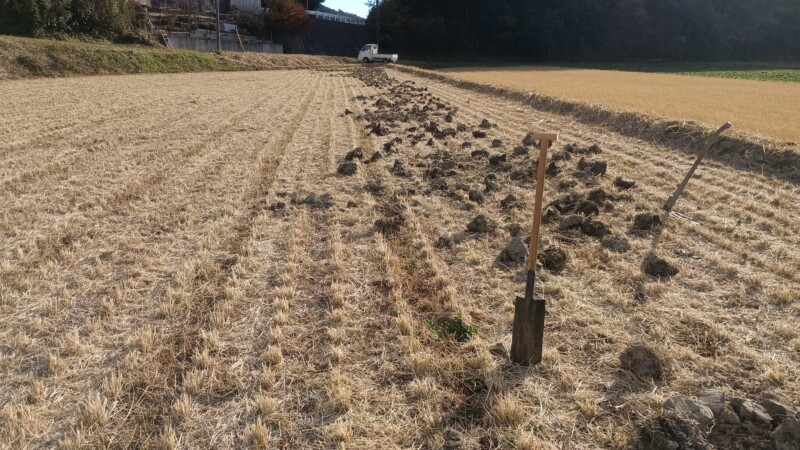 スコップやまんのう鍬で泥を散らける