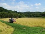 コンバインで稲刈り