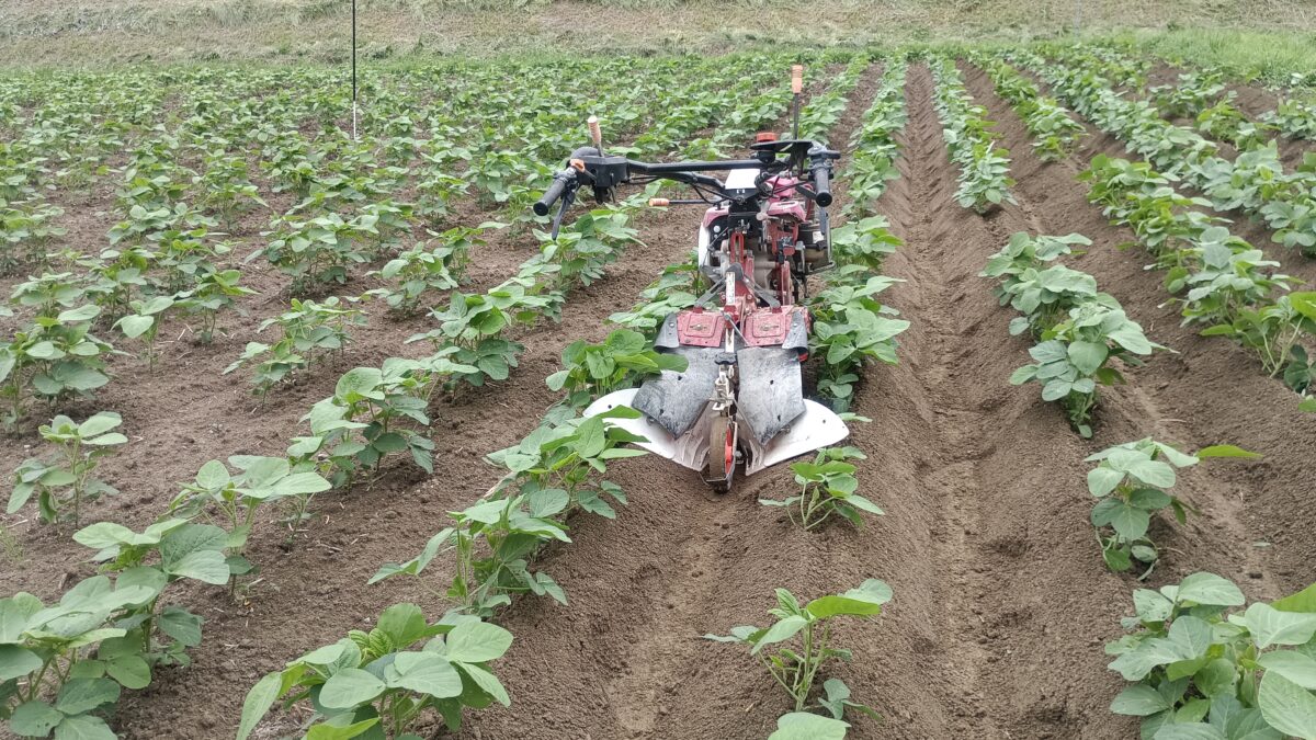 大豆中耕土寄せ