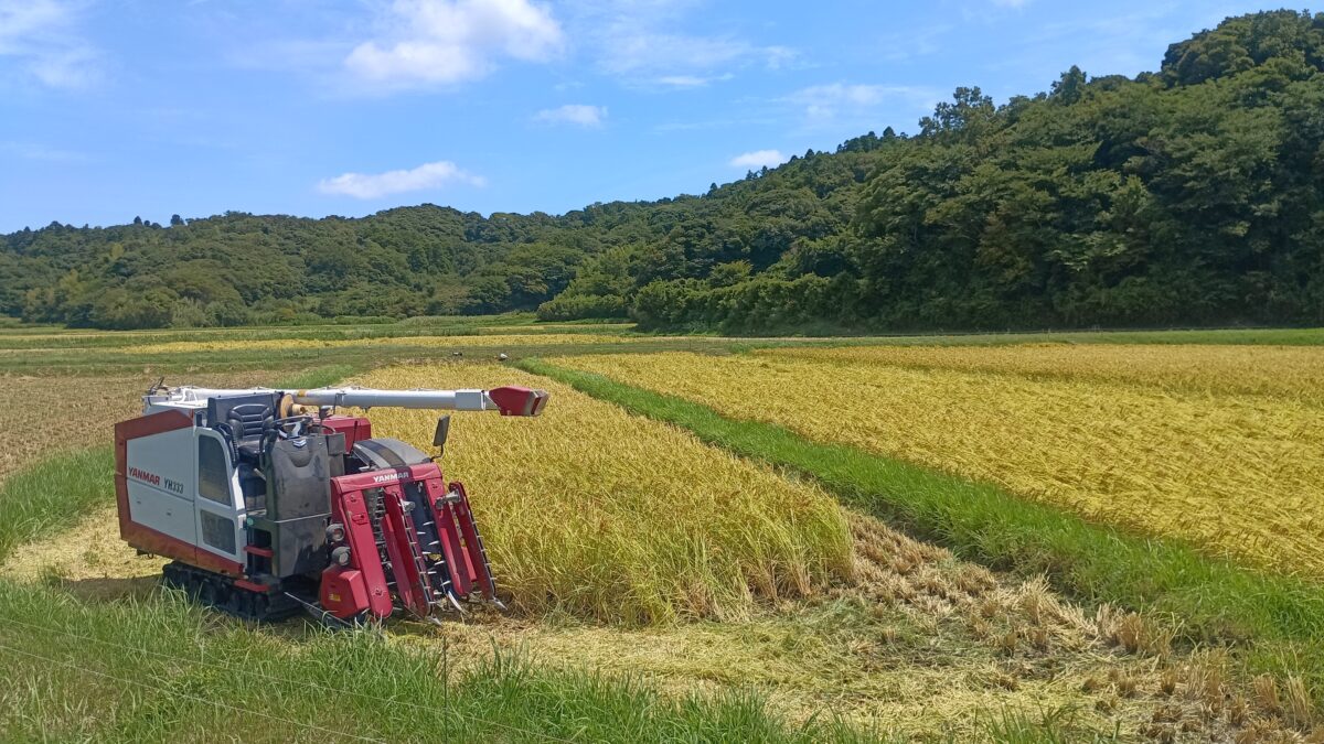 山に囲まれた海老敷の原 小さな田んぼが点在します。 ササニシキはこのような環境で育っています。