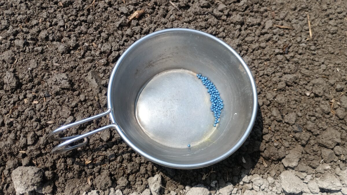 秋冬野菜播種第一弾