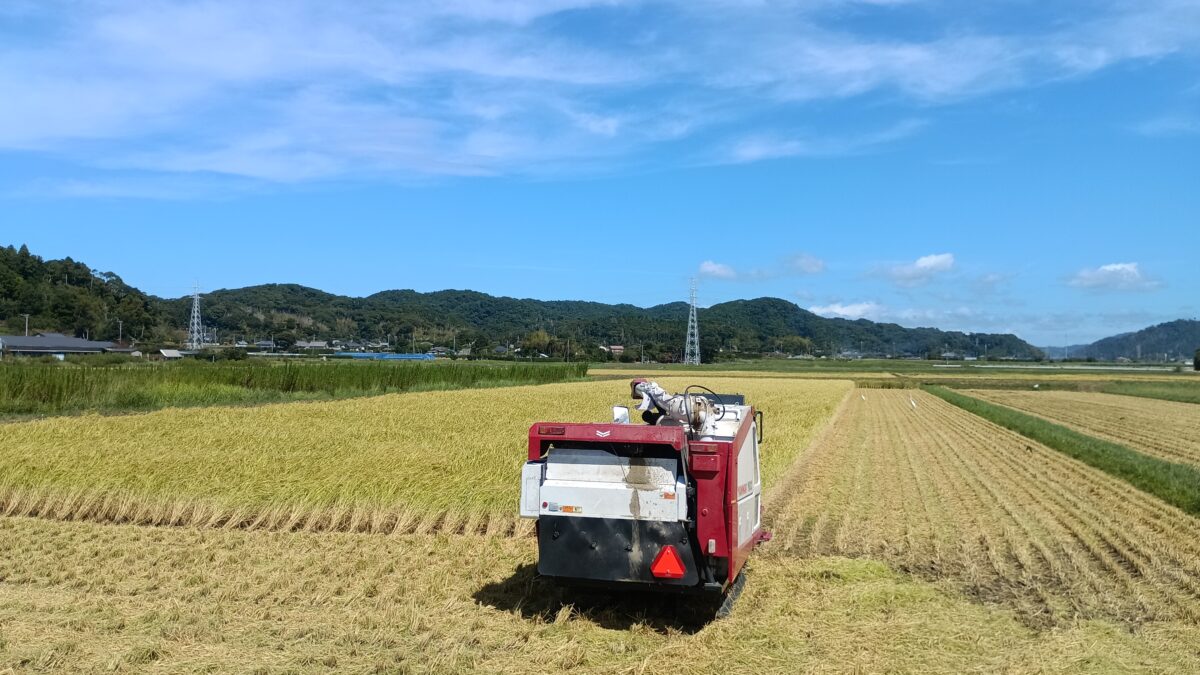 稲刈り後半戦スタート♪下堀地区の4町2反
広い原での稲刈りは初めて♪
