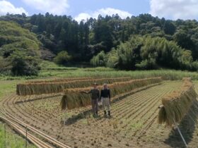 一応記念撮影 16日午前中で掛け終わり。 いいお天気が続きますようにと 願いはするが、雨マーク連続
