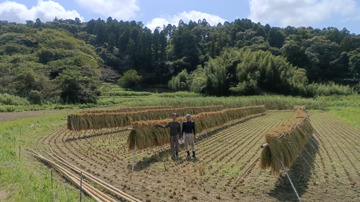 一応記念撮影16日午前中で掛け終わり。
いいお天気が続きますようにと
願いはするが、雨マーク連続