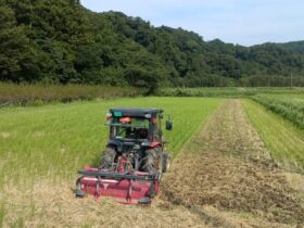 秋耕 通称梅の木上の田んぼ2反