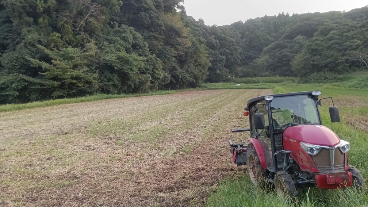 通称　石入の田んぼ