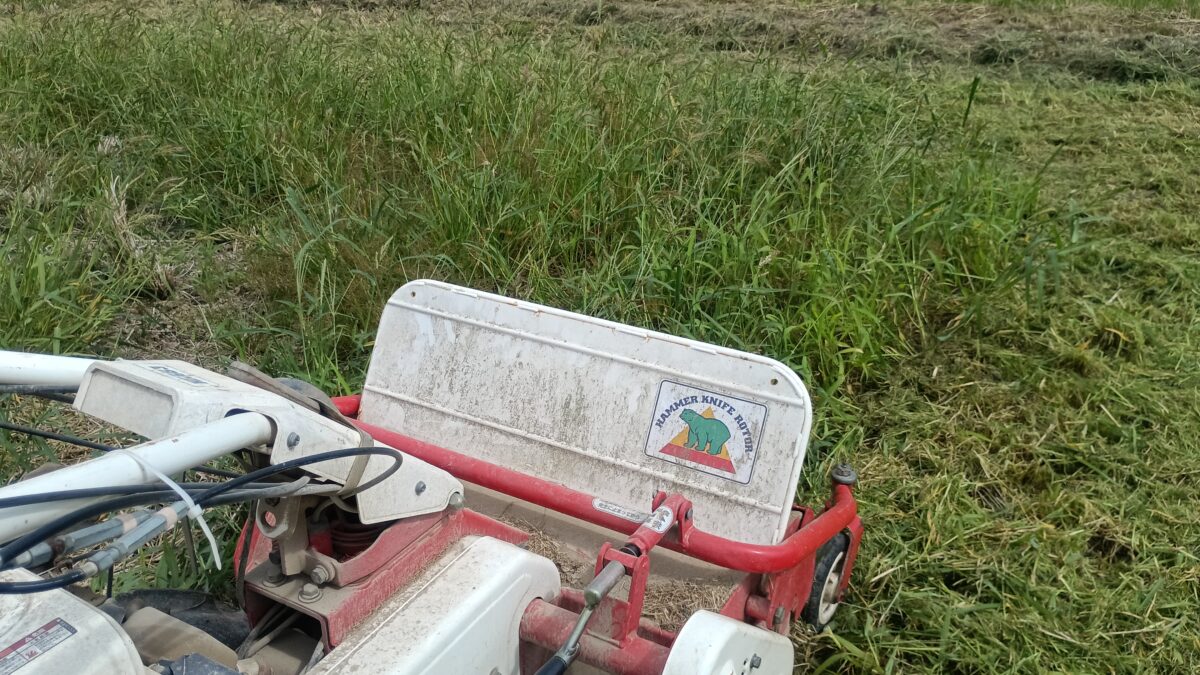 ハンマーナイフモアで粉砕中