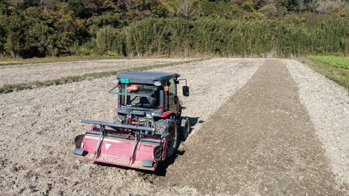 冬の田起し 冬耕