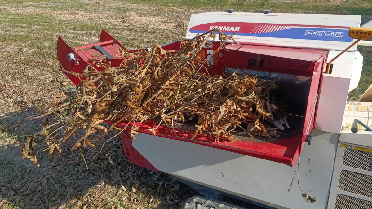 大豆脱穀機で脱穀