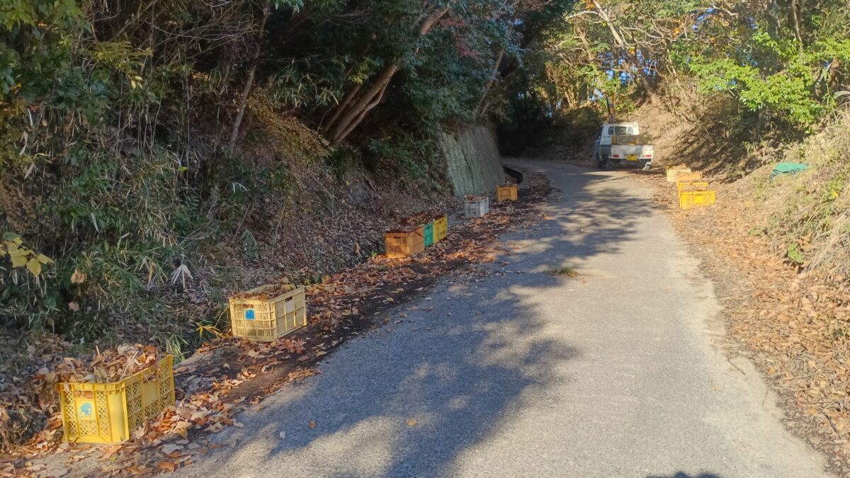 近くの林道へ落ち葉集め