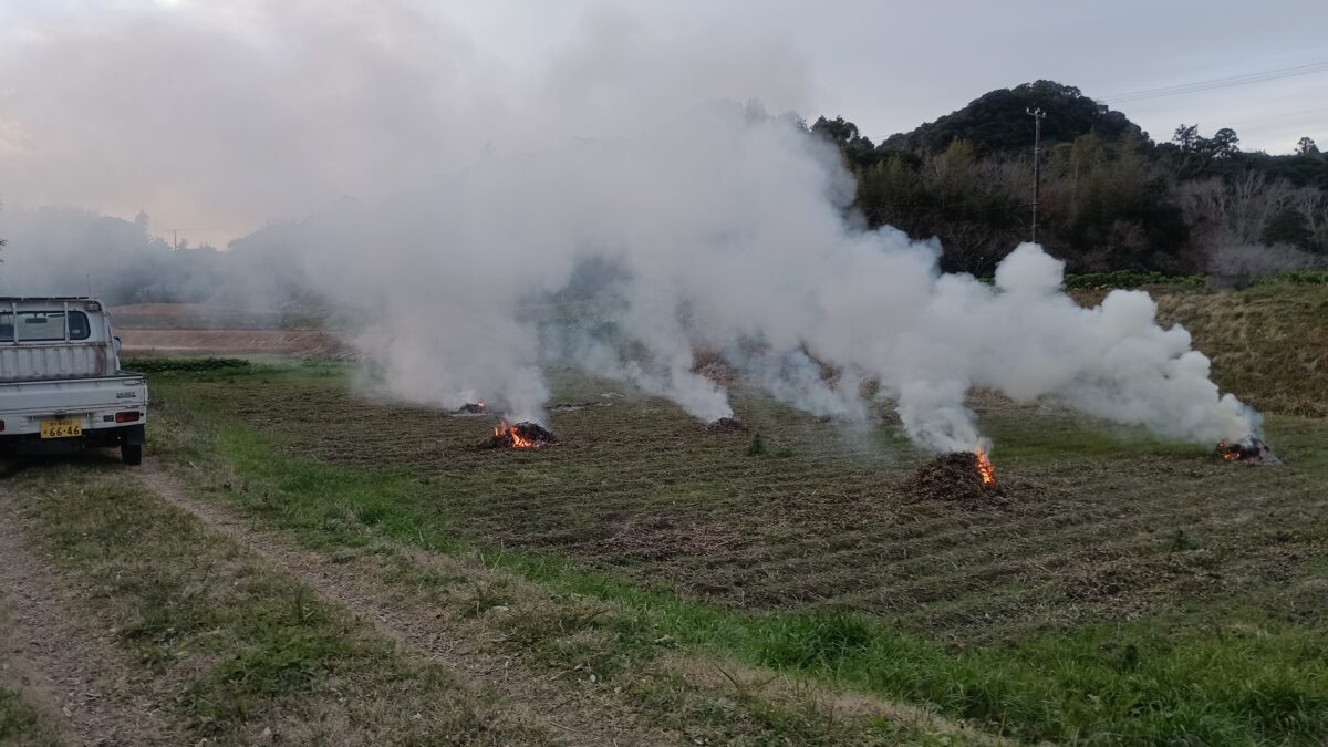 大豆の畑　残渣処理