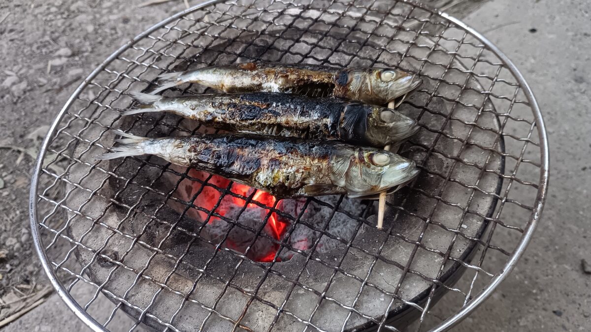 七輪でイワシの丸干しを焼く