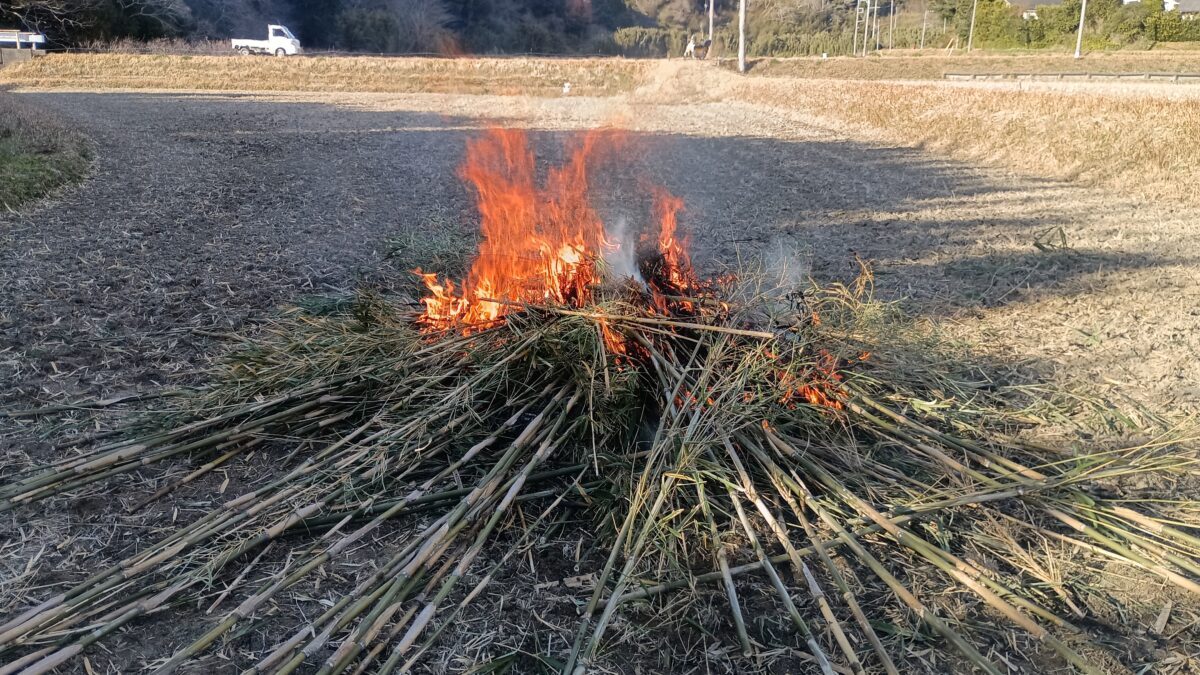 支柱に使えない竹は燃やしてしまいます