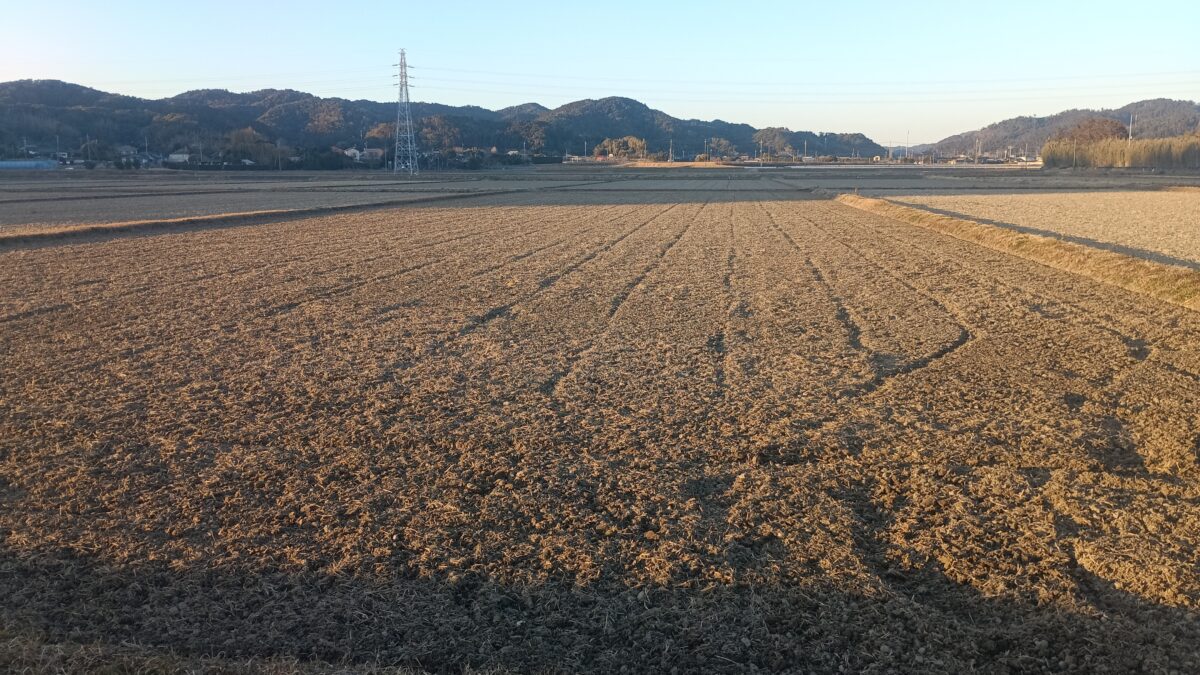 冬耕後の田んぼ