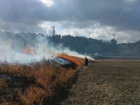 海老敷第一水利組合 地権者総出の畦焦し 海老敷の原の枯草燃やし