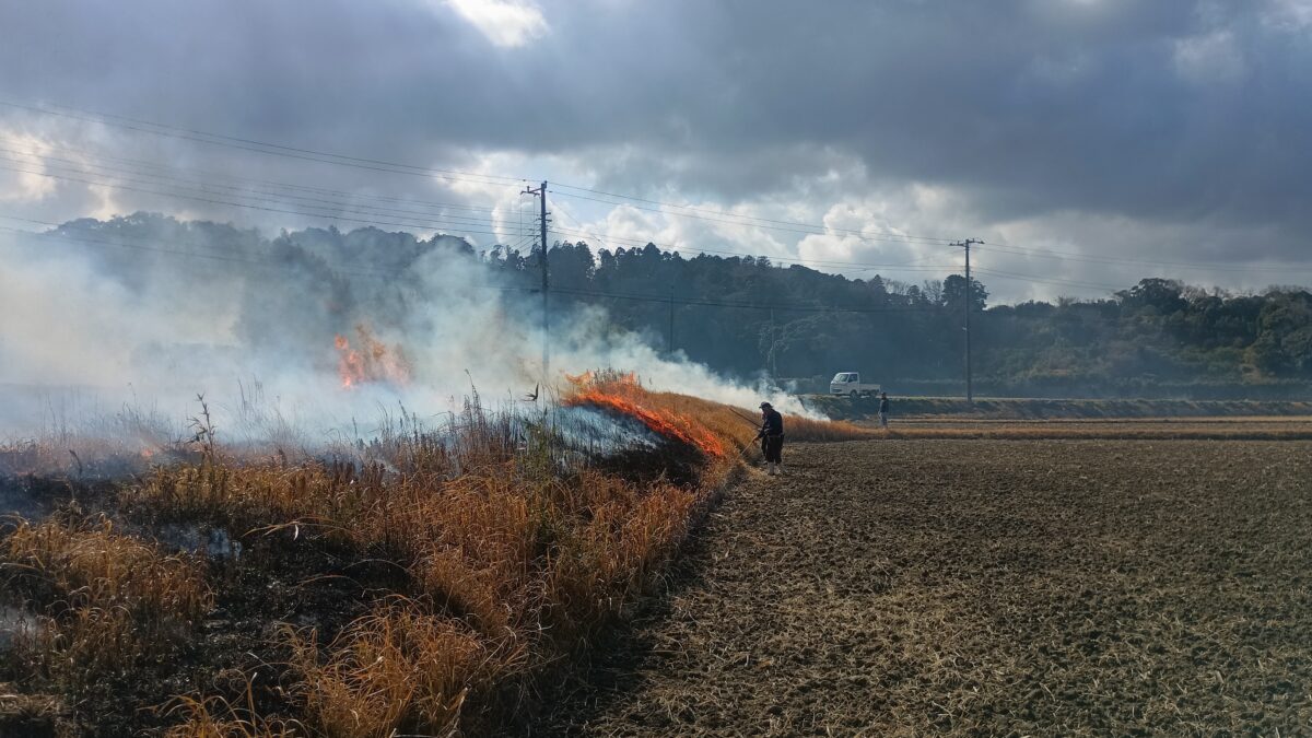 海老敷第一水利組合地権者総出の畦焦し
海老敷の原の枯草燃やし