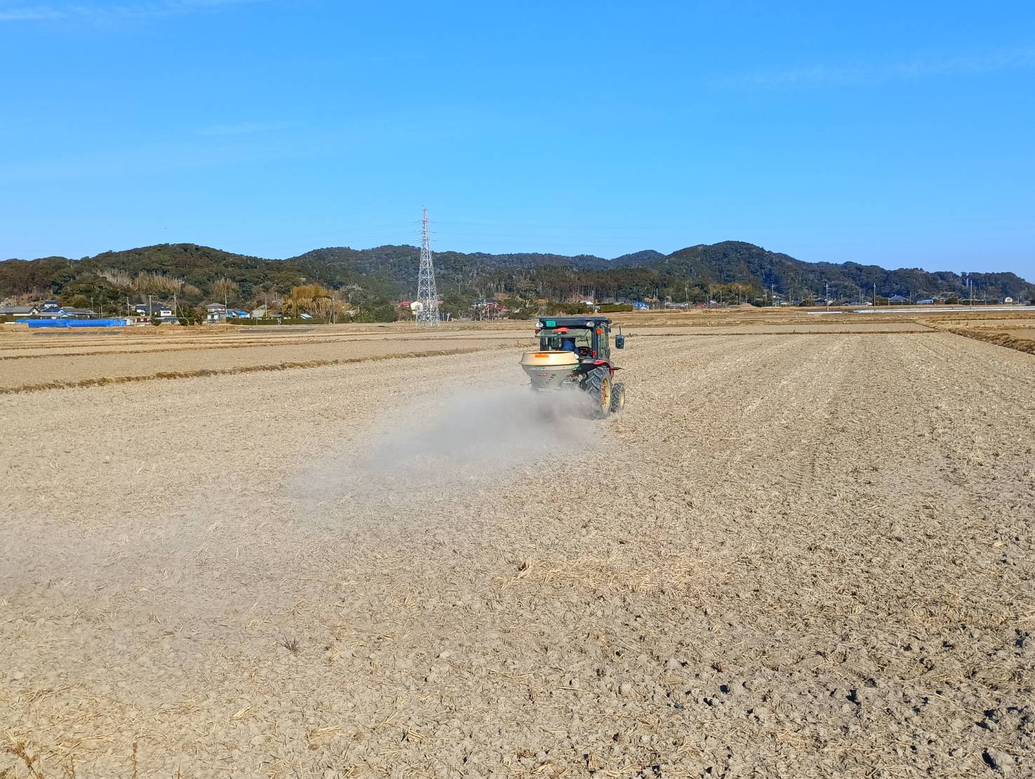 鶏糞米ぬか灰を混ぜて散布