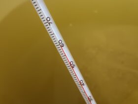 温湯消毒温度は60℃