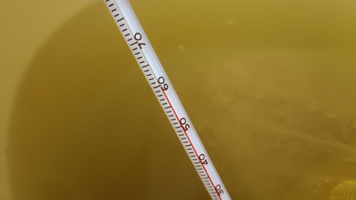 温湯消毒温度は60℃