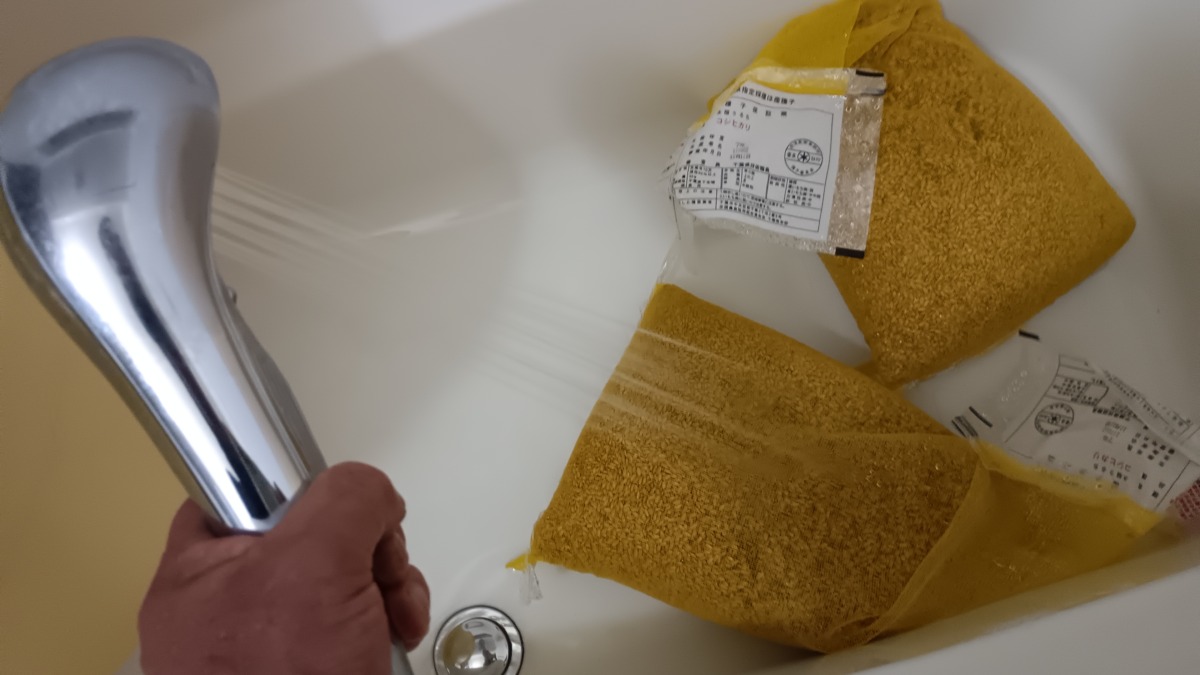 シャワーで冷水をかけて粗熱を取ります。