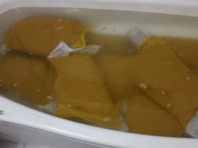 種籾催芽処理♪