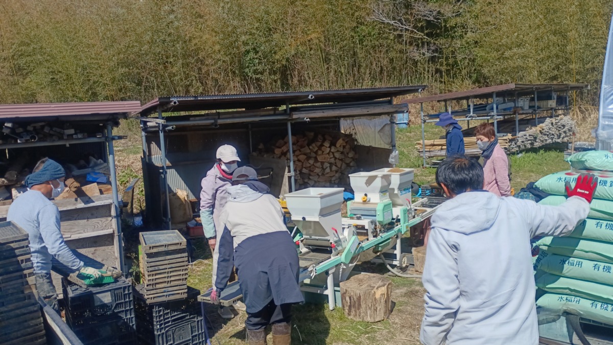 今年の籾播き第一弾は 沢山の人が手伝ってくれて 賑やかな作業でした。