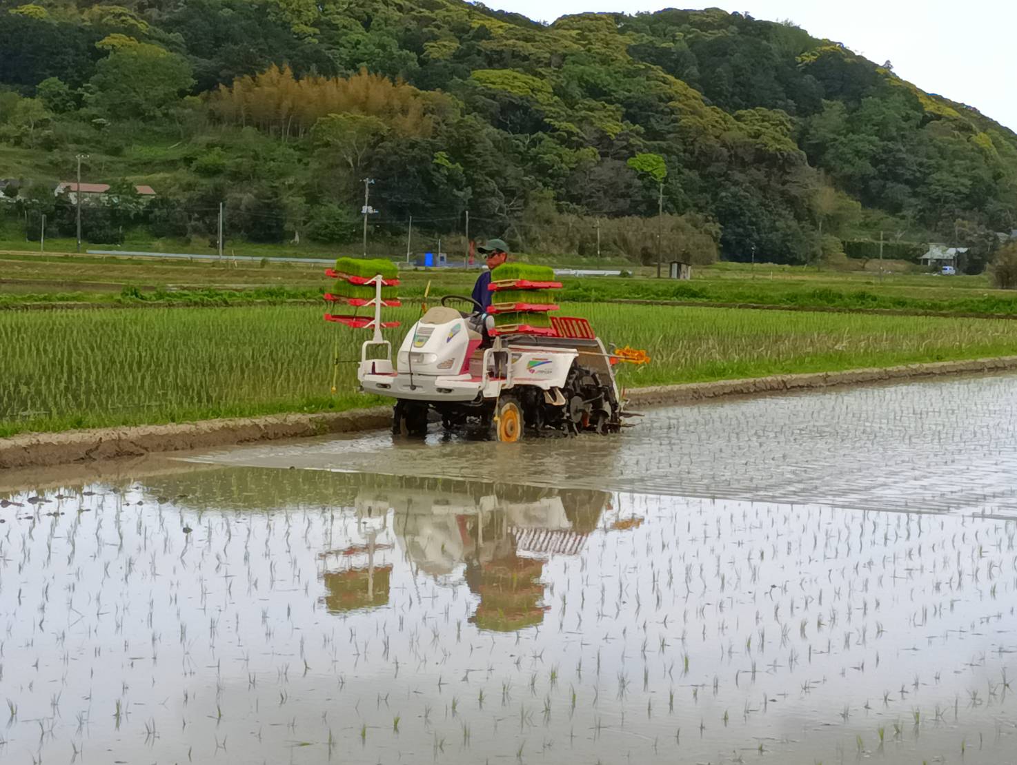 田植え始まりました！