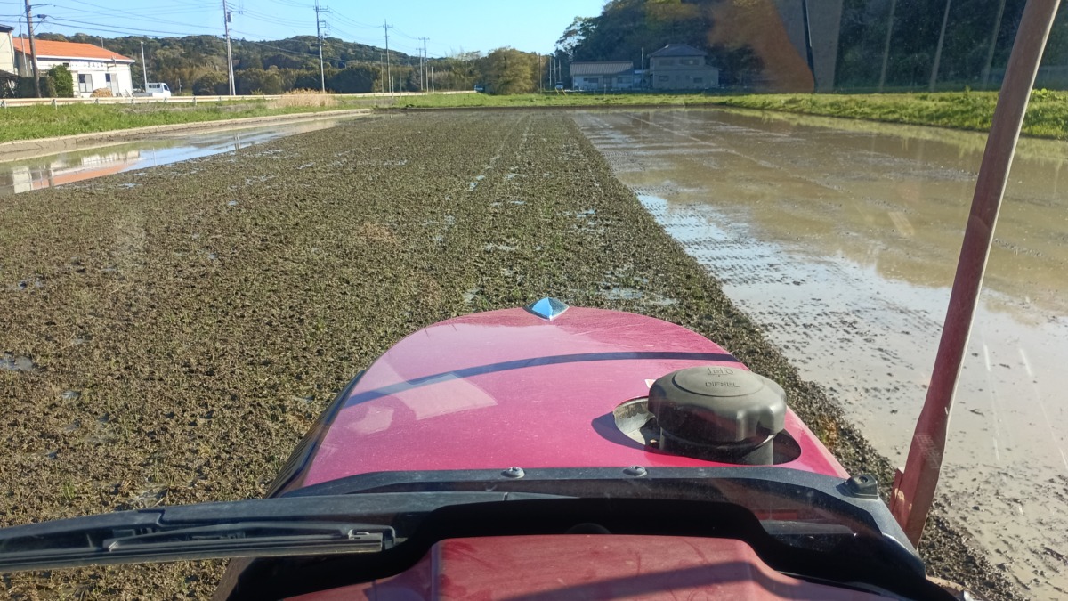 水2割、土8割がベスト水量かな。