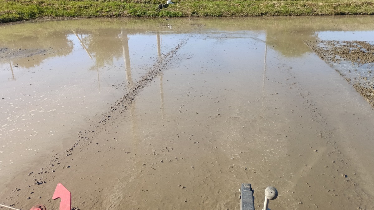 荒代かき後の様子