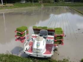 田植え始まりました！