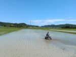 チェーン除草中