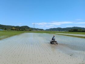 チェーン除草中