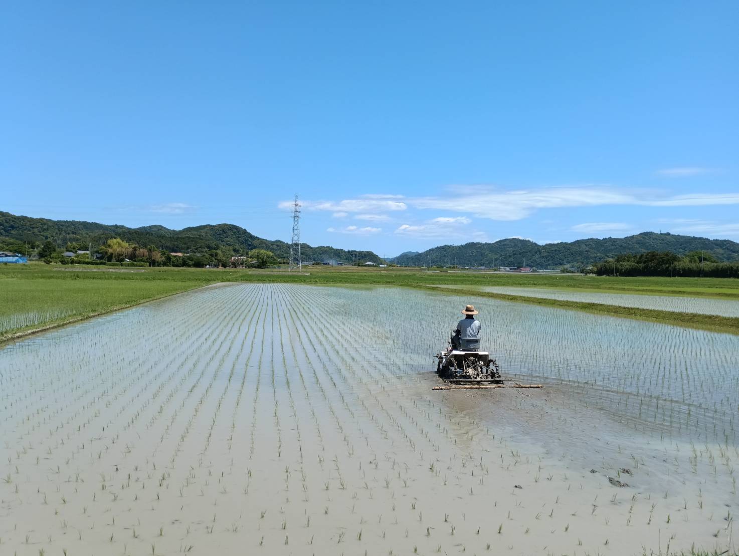 チェーン除草中