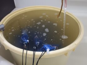 温湯消毒