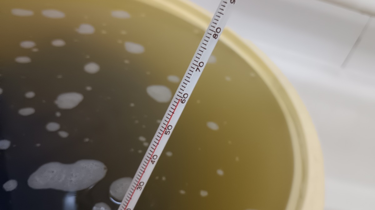 温湯消毒　60℃10分