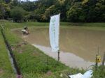 NPO田んぼ田植え