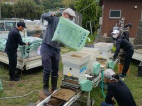 籾播き援農ありがとうございます！