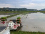 田植えが進んでいます