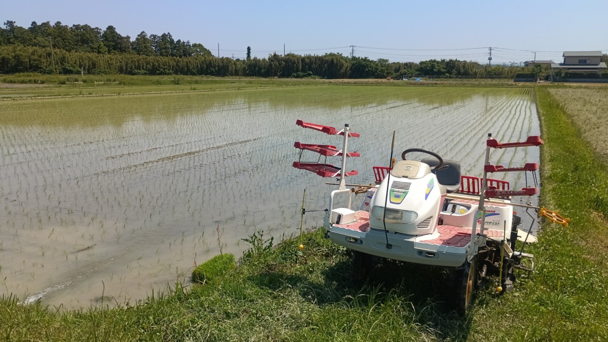 下堀地区田植え終了♪