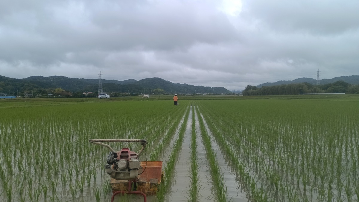 動力除草機で草取り