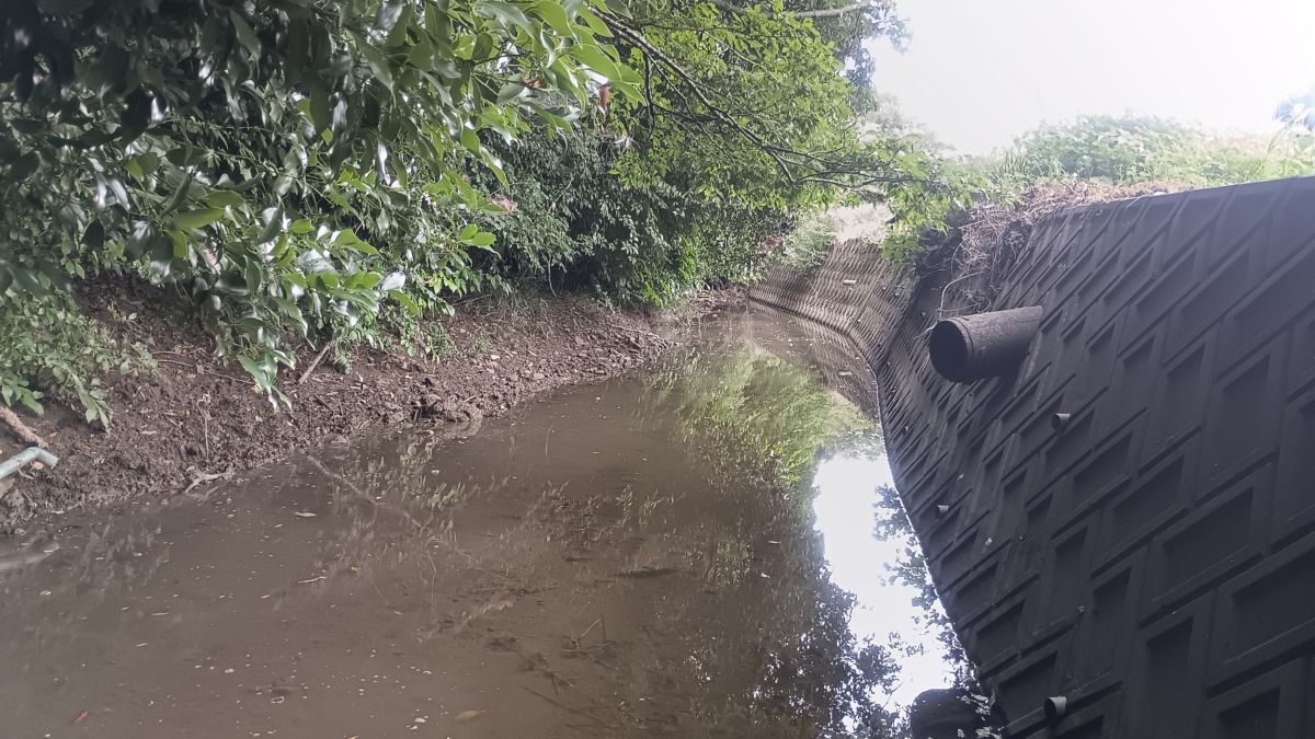川沿いや排水路もイノシシの通り道